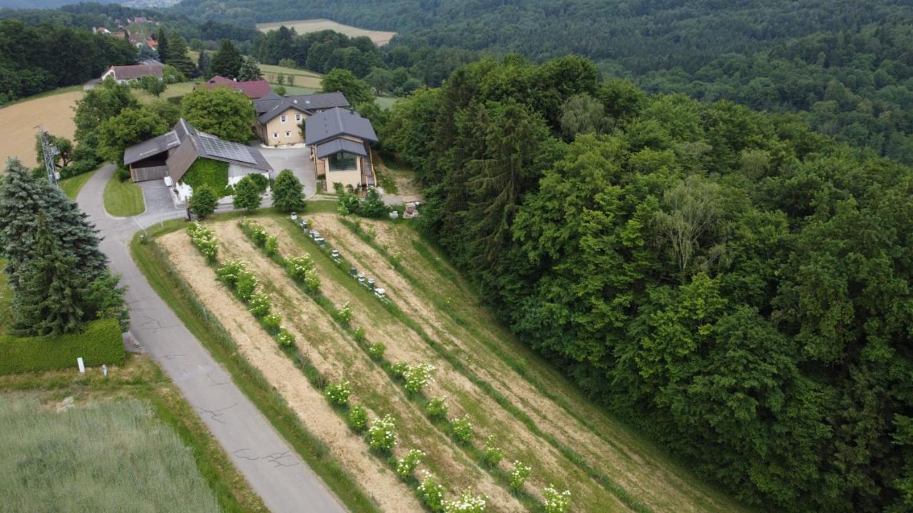 Beim Bergjosl Apartamento Kirchbach in Steiermark Exterior foto