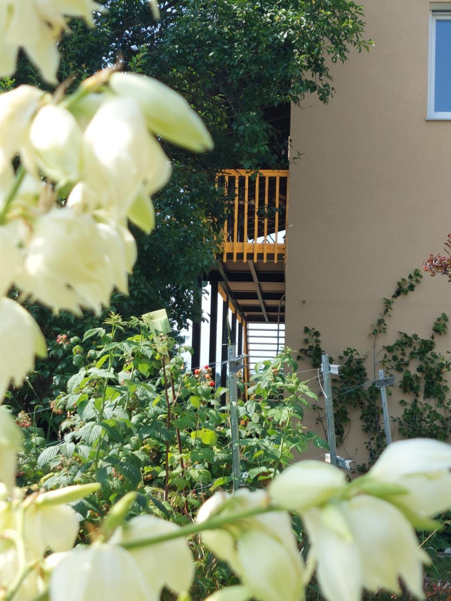 Beim Bergjosl Apartamento Kirchbach in Steiermark Exterior foto